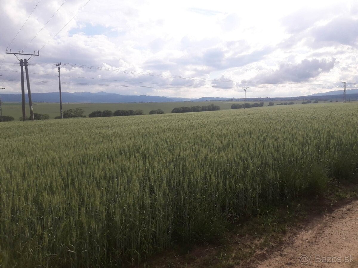 Pozemok Mlynica 85€m2 - 2