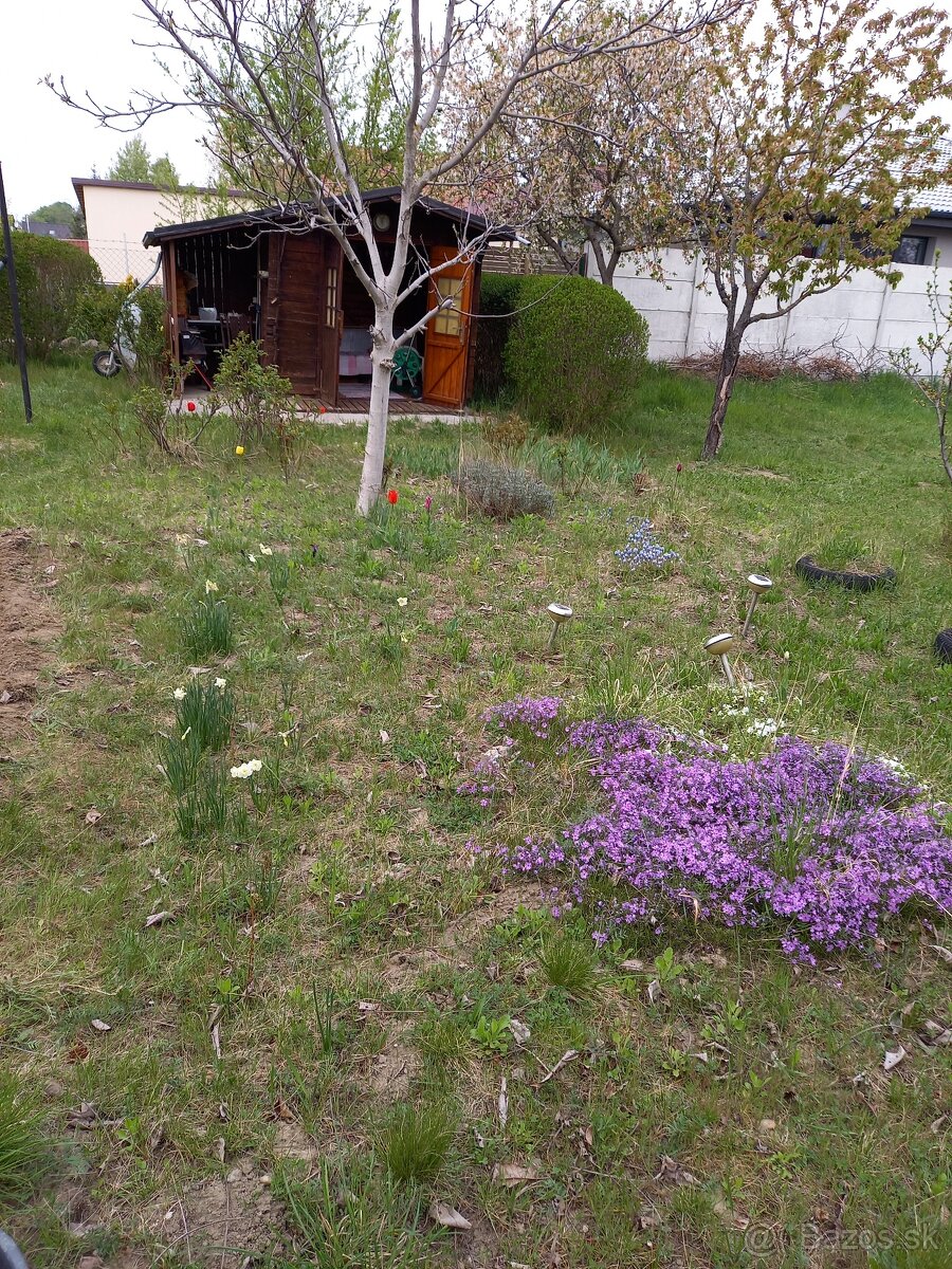 stavebný pozemok v Miloslavove - 2