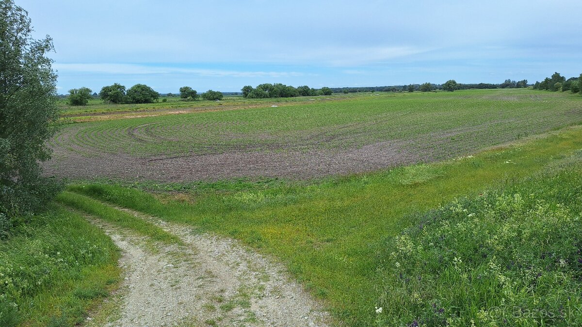 Pozemok pri obci Zohor - 2