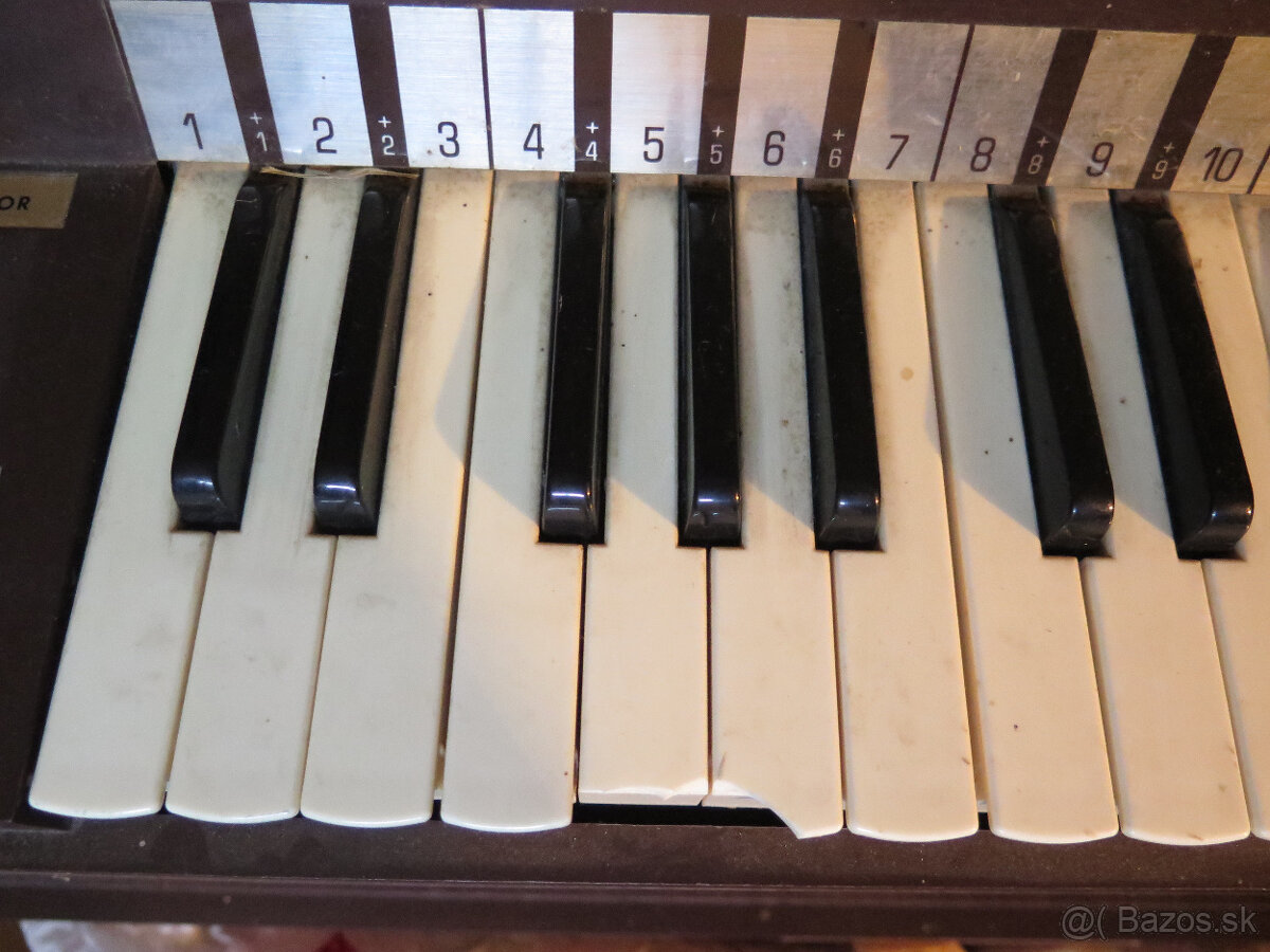 Organ Magnus - 2
