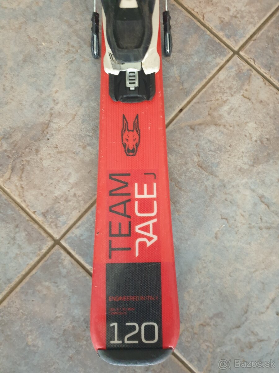 Lyže , lyžiarky + palice - 2