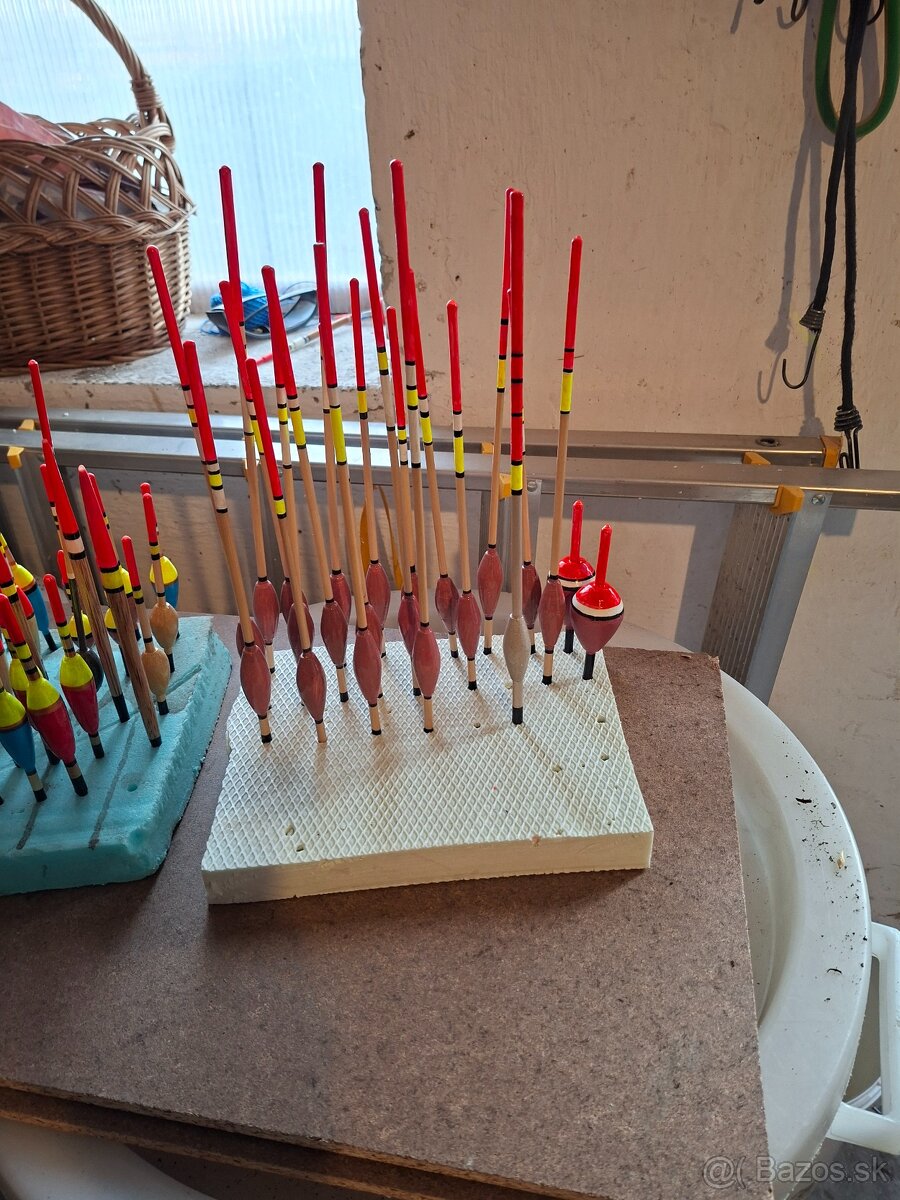 Športoví rybolov - 2