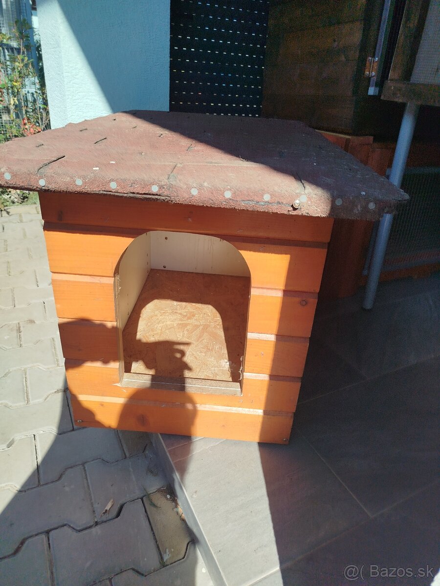 Búda pre psa - 2