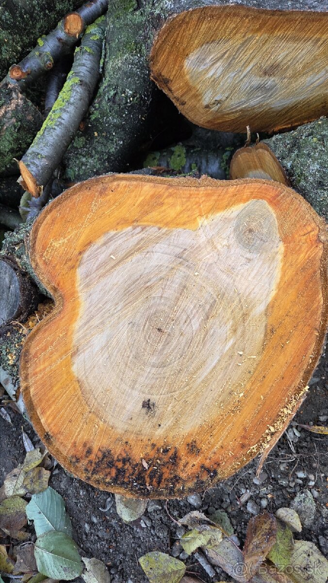 Čerešne - kmene - drevo - 2