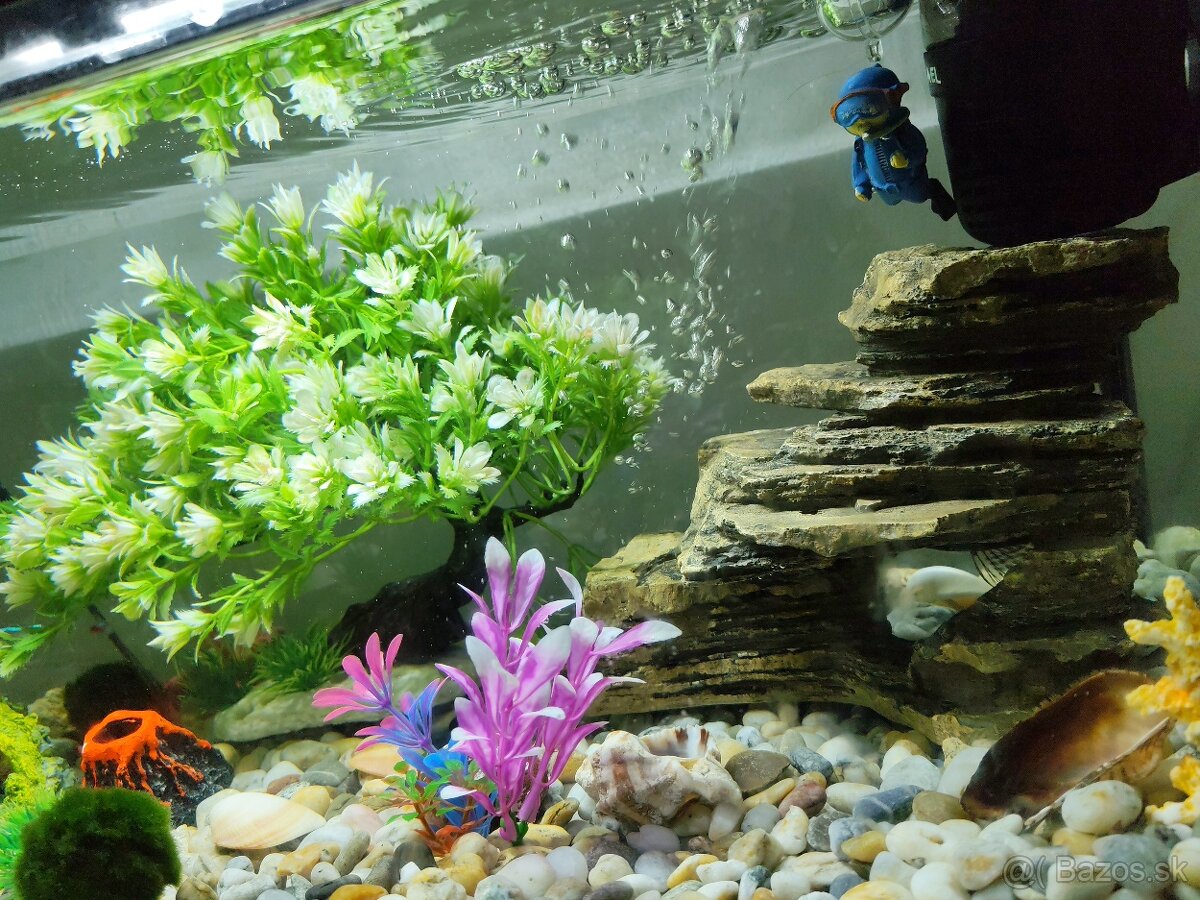 Aquarium aquarel 55l - 2