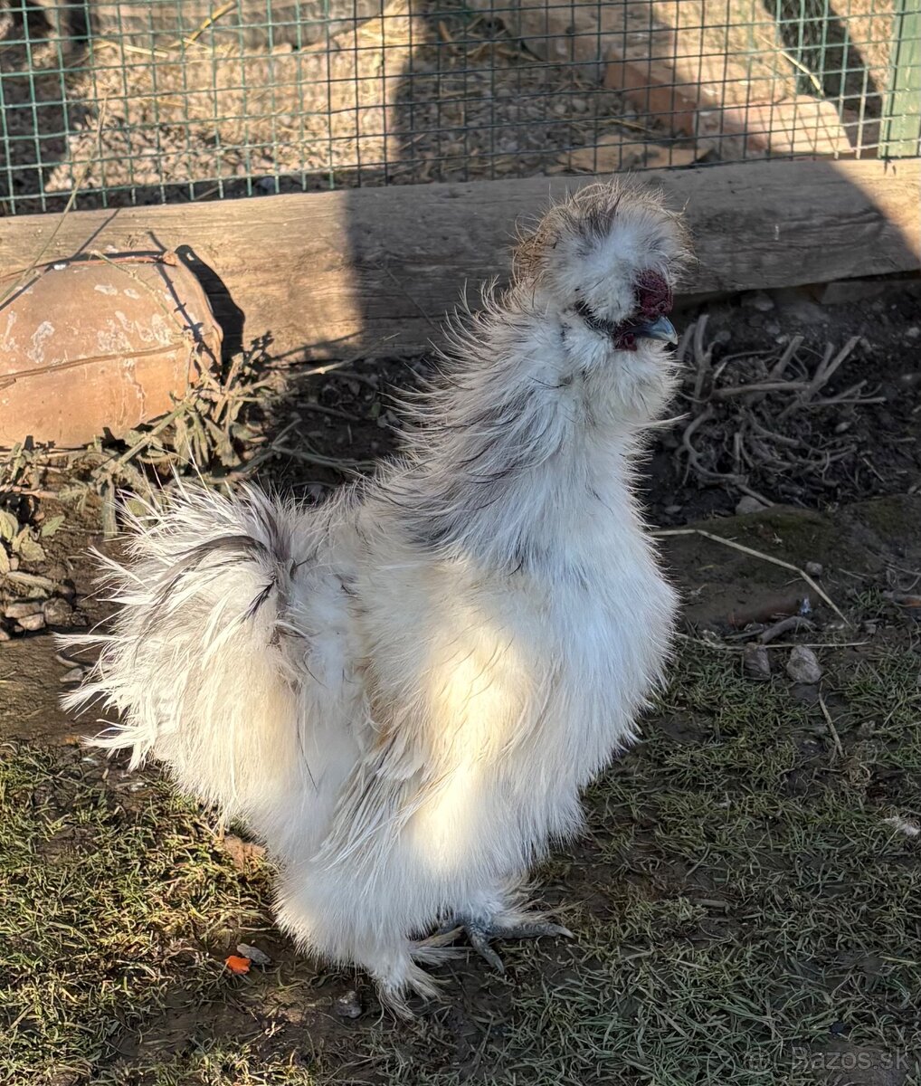 USA-hodvabničky - 2