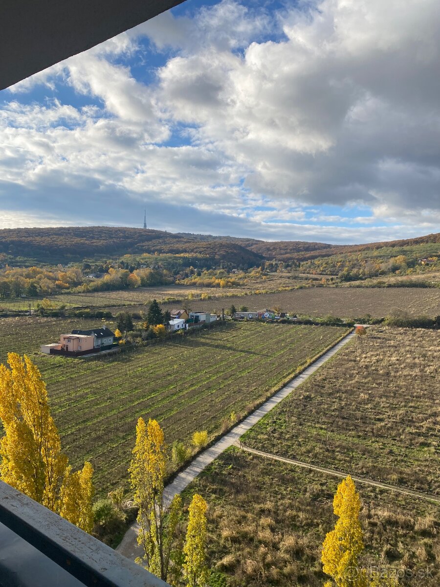 2-izbovy utulny byt - 2