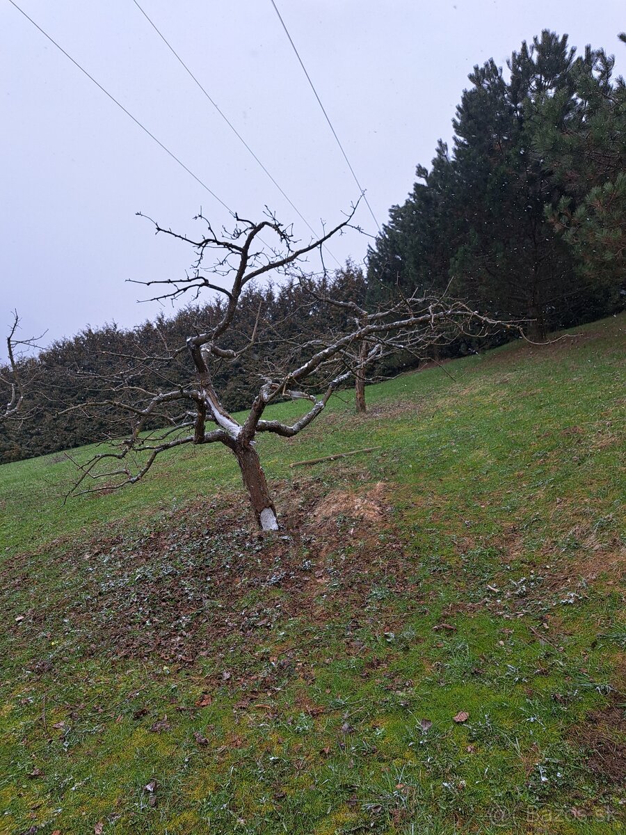 Starostlivosť o záhradu - 2