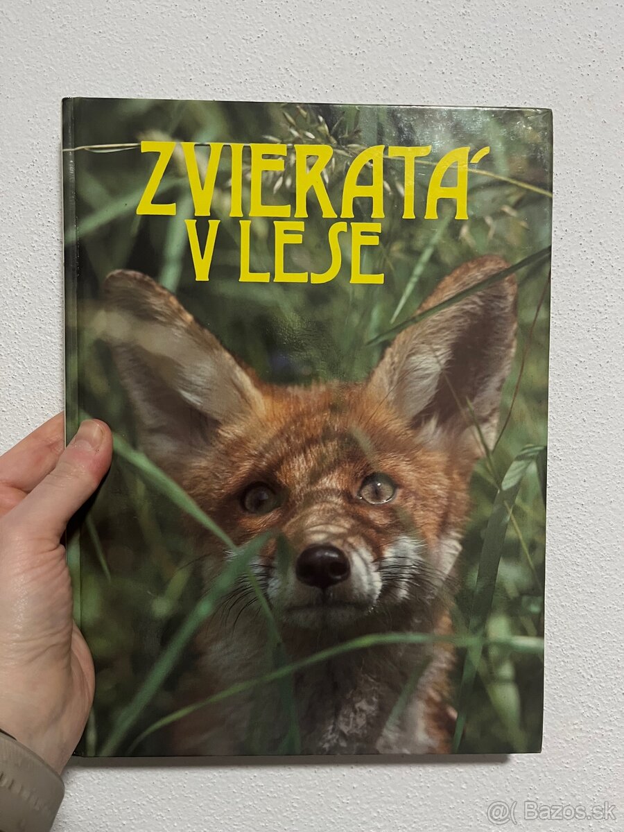 Zvieratá v lese - 2