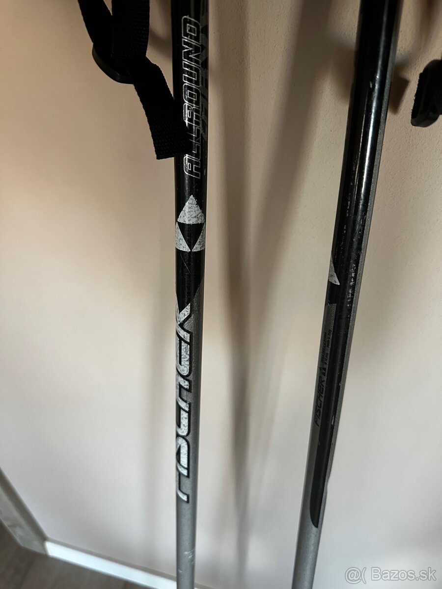 Fischer paličky - 2