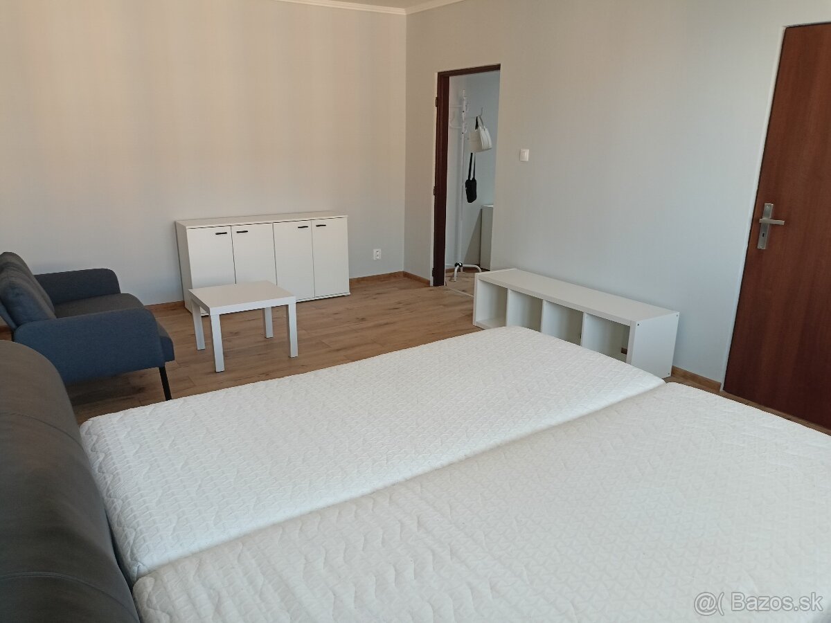 Velky 1i byt 42m2 - 2