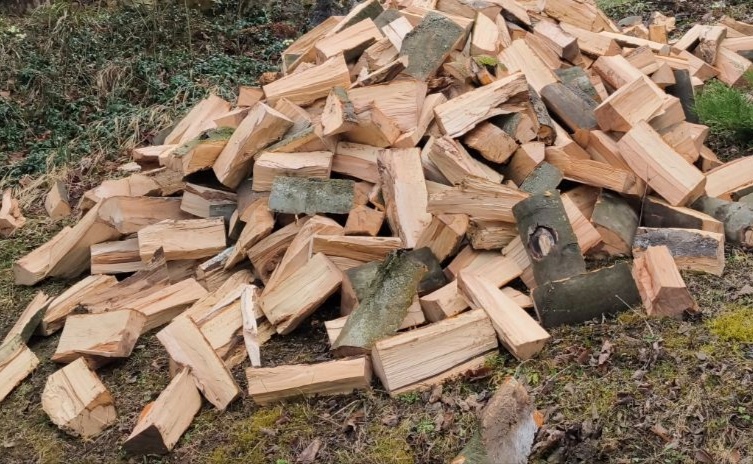 Palivové drevo - buk, jaseň - 2