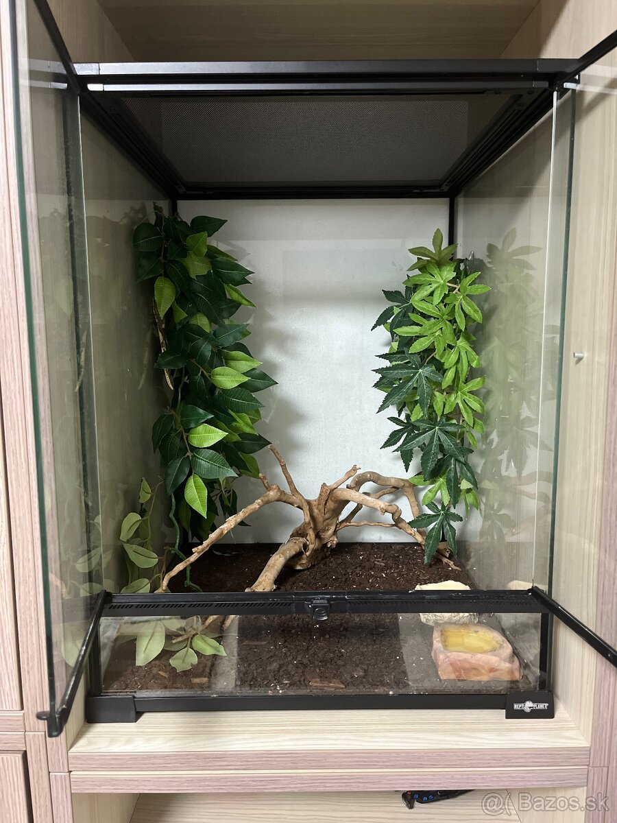 Terarium Reptiplanet 45x45x60 - 2
