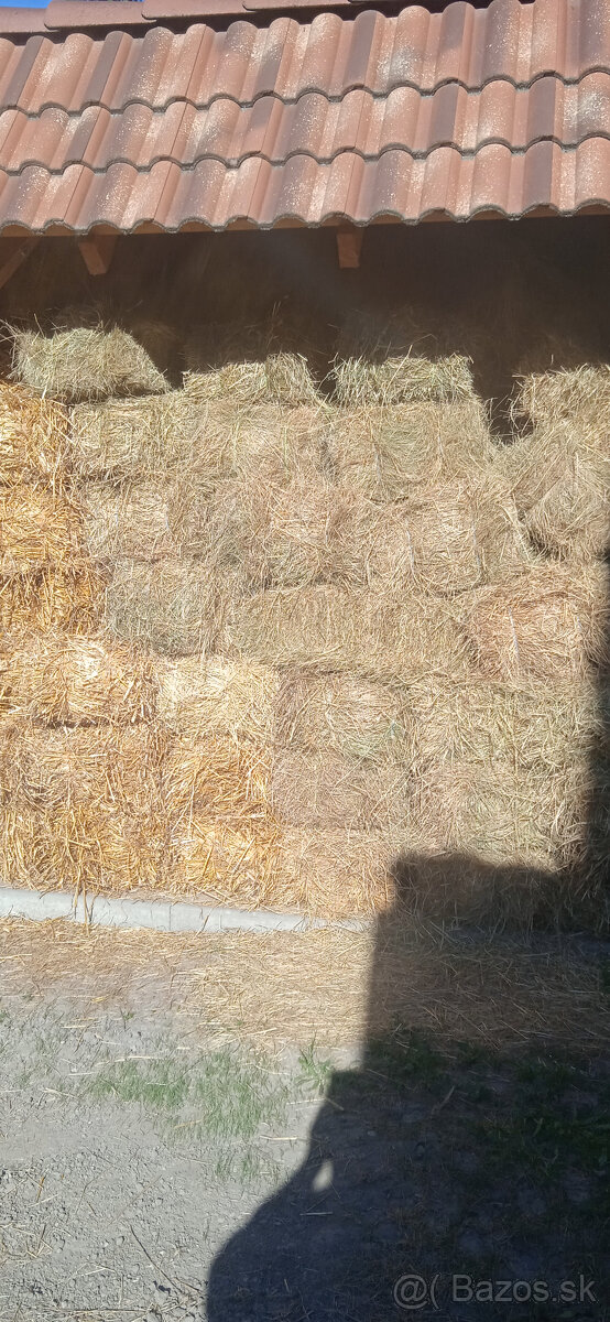 Seno male baliky - 2