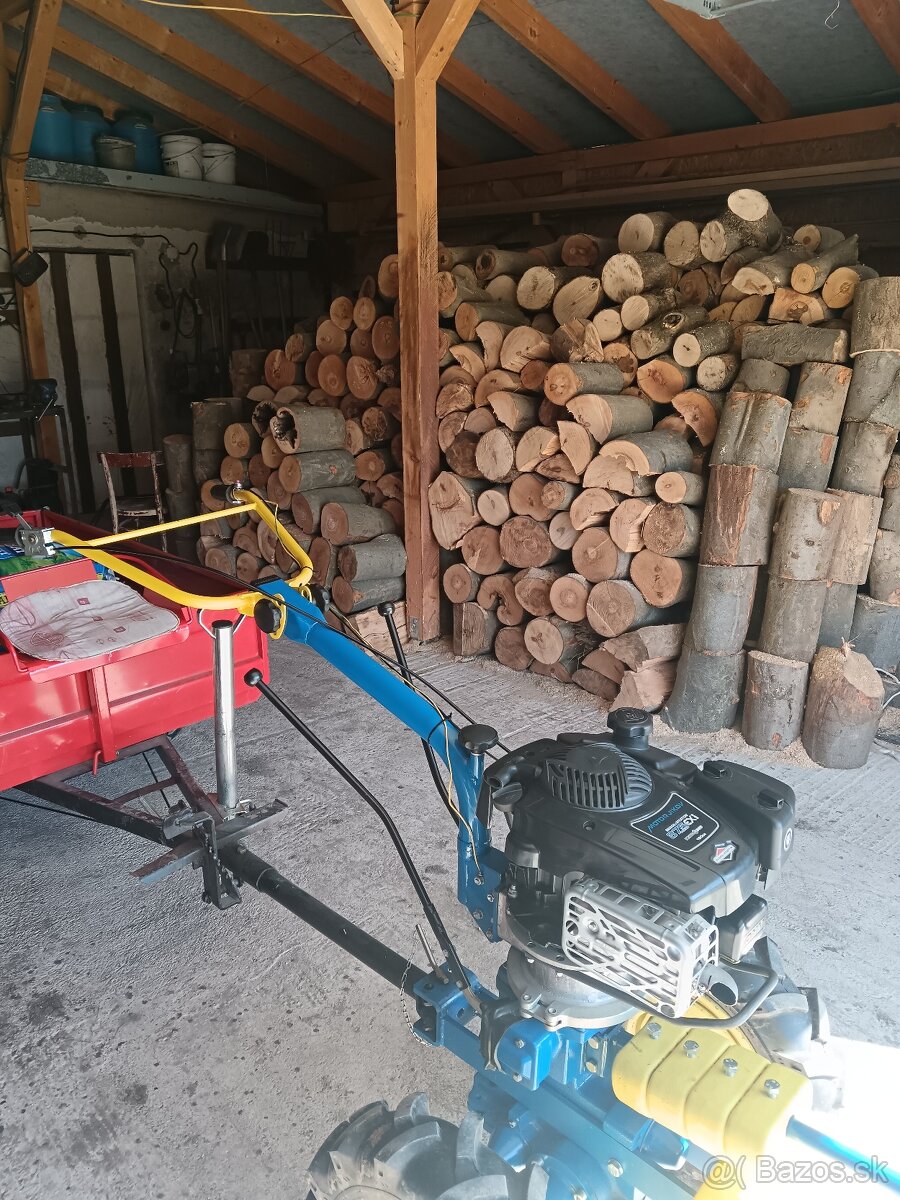 MOTOROVÁ JEDNOTKA AGZAT - BRIGGS - 2