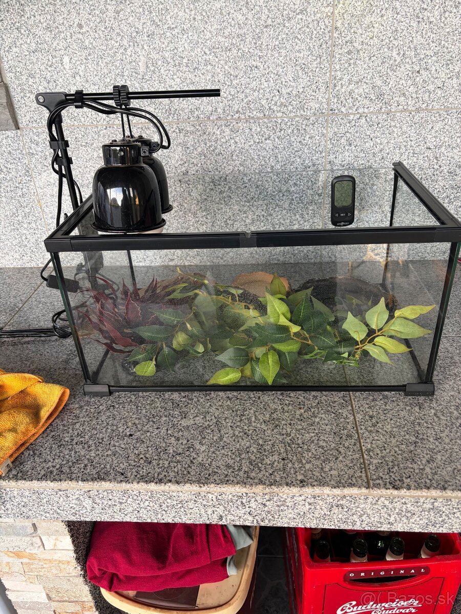 Predám tetárium s vybavením - 2