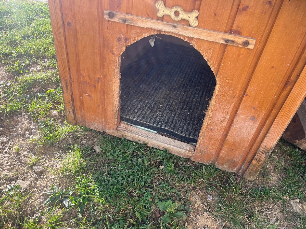 Búda pre psa - 2