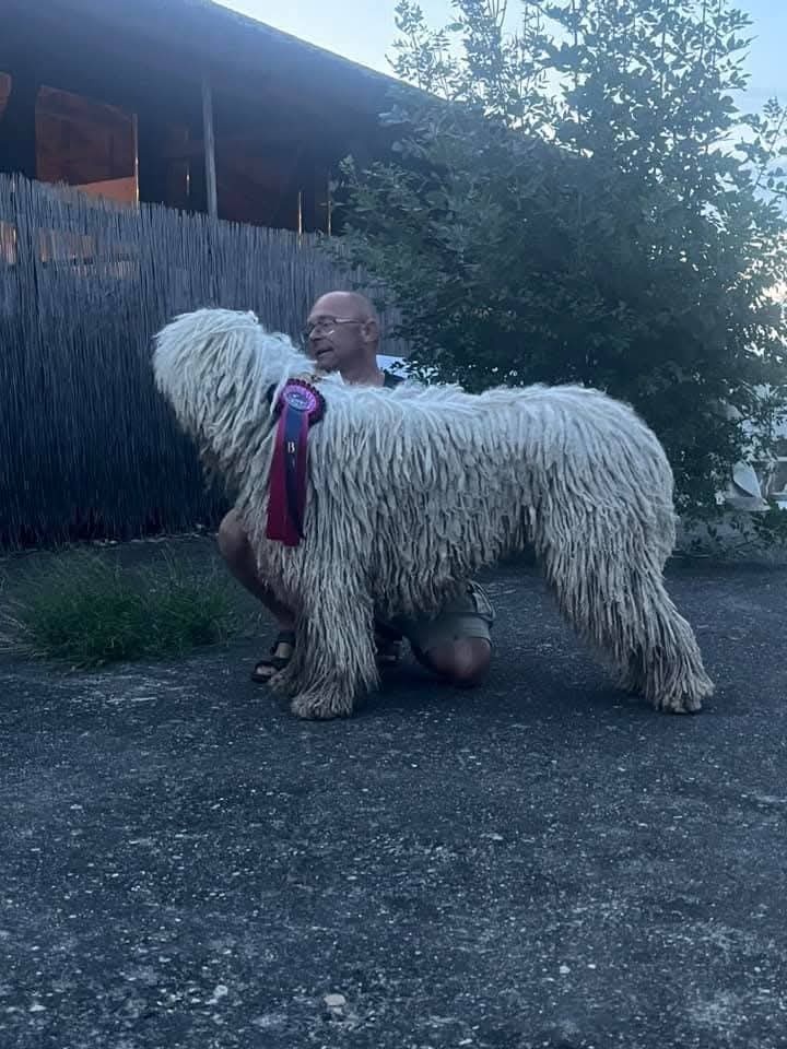 Komondor s PP - 2