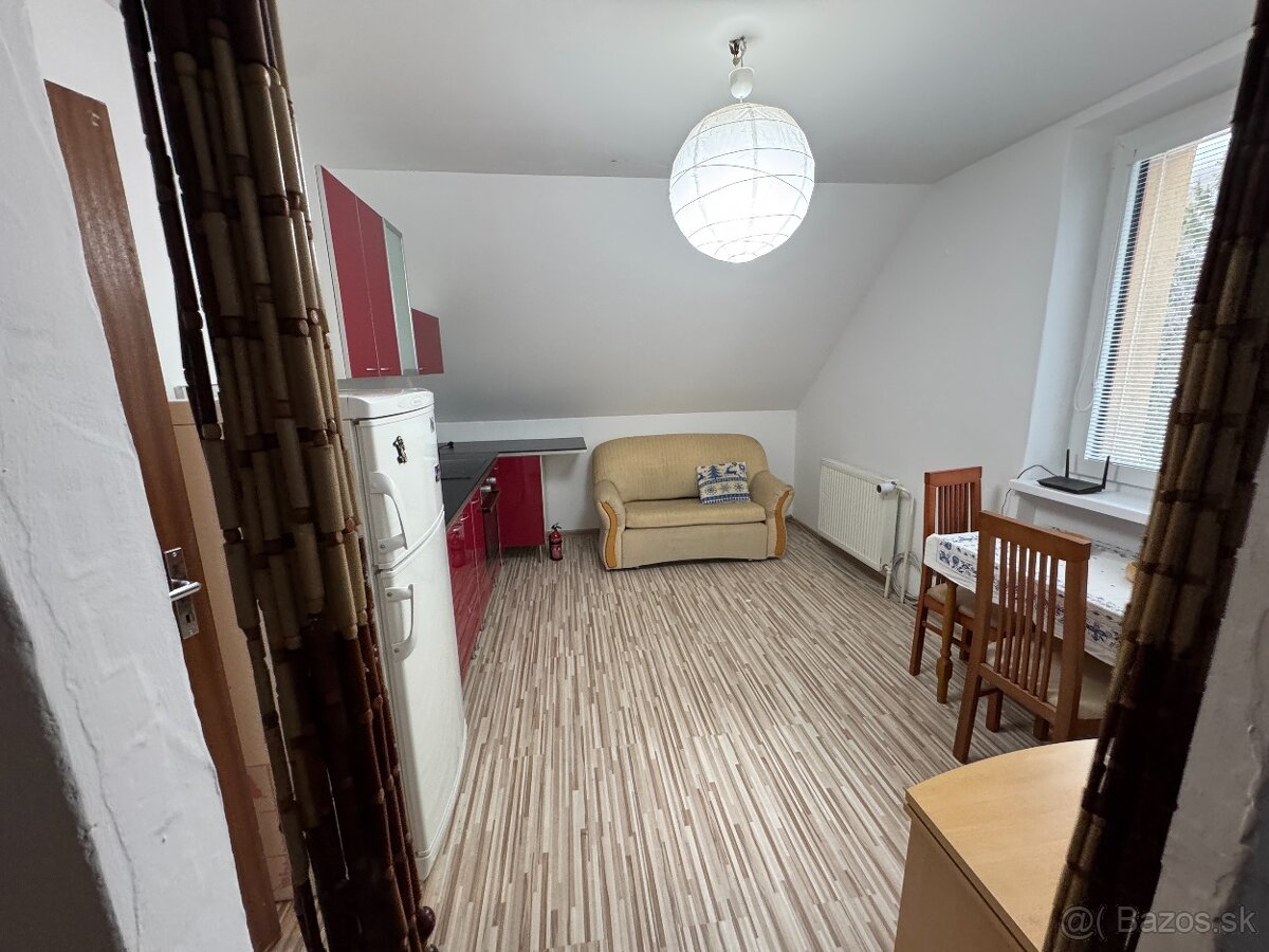 PRENÁJOM, 1-izbový byt - 2