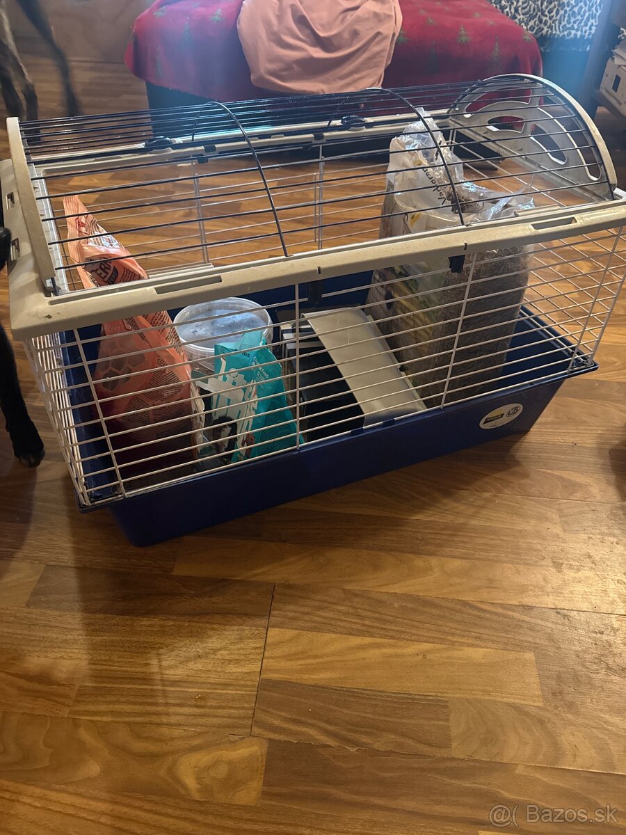 Klientka pre morciatka/ králika. - 2