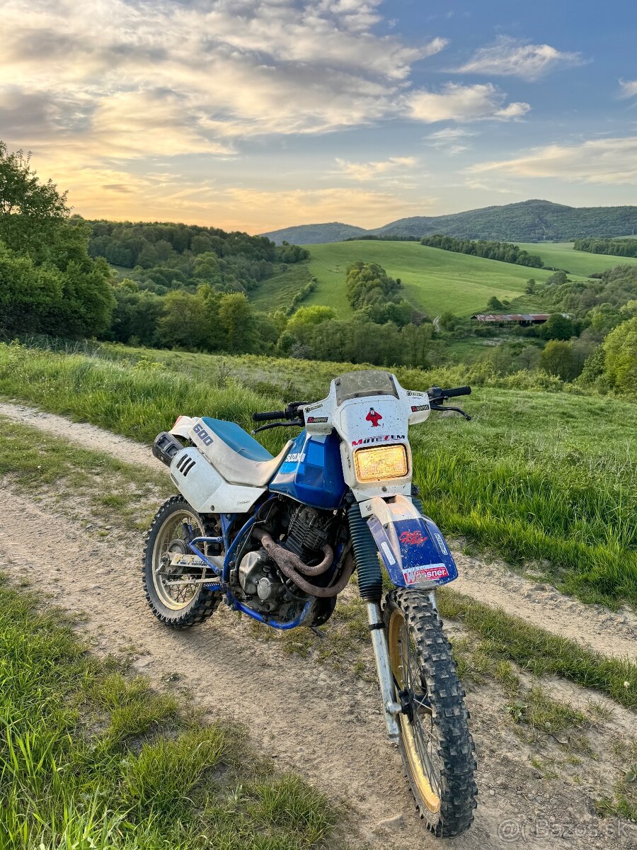 Suzuki Dr 600