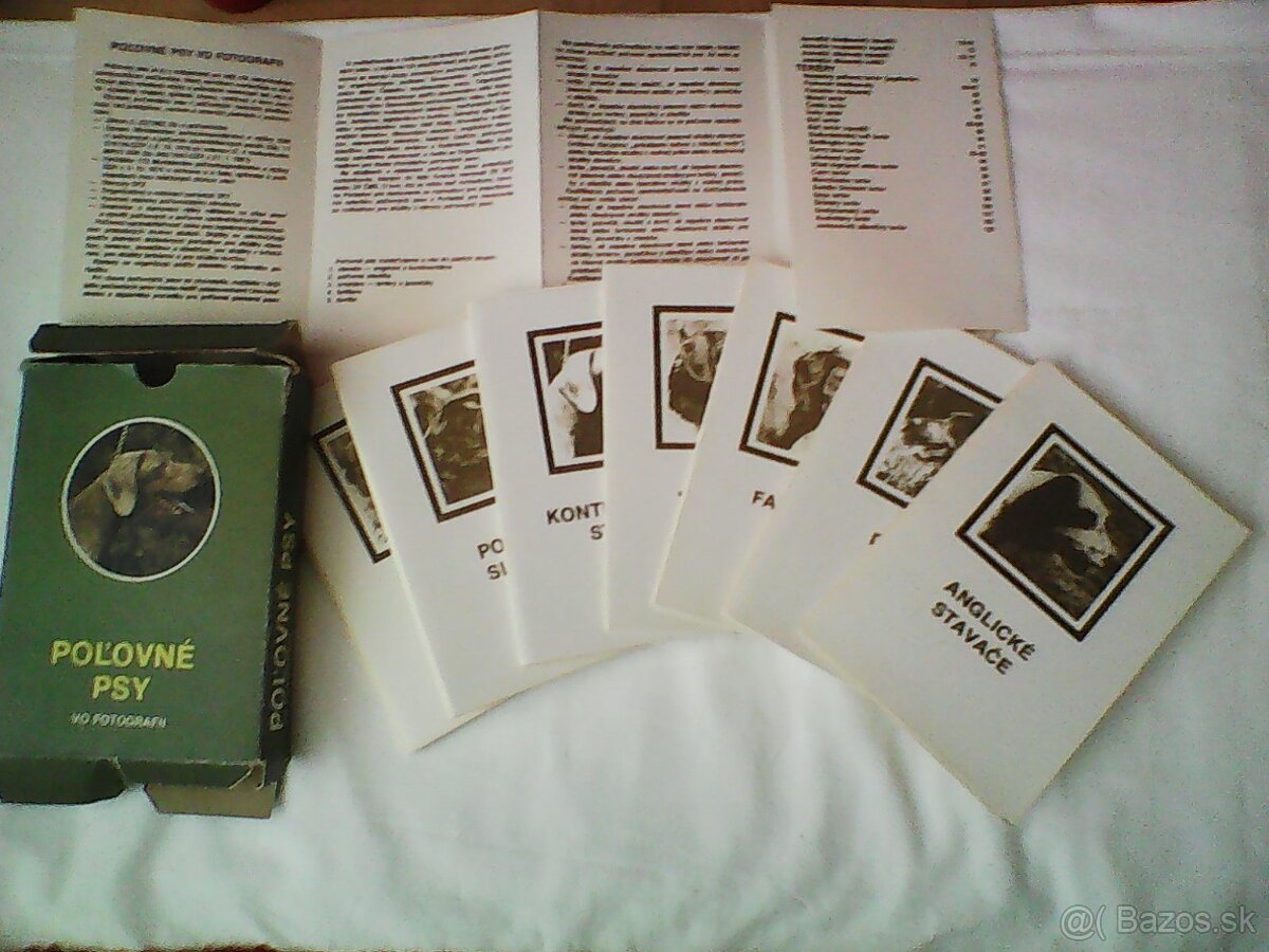 Poľovné psy - kartičky - 2