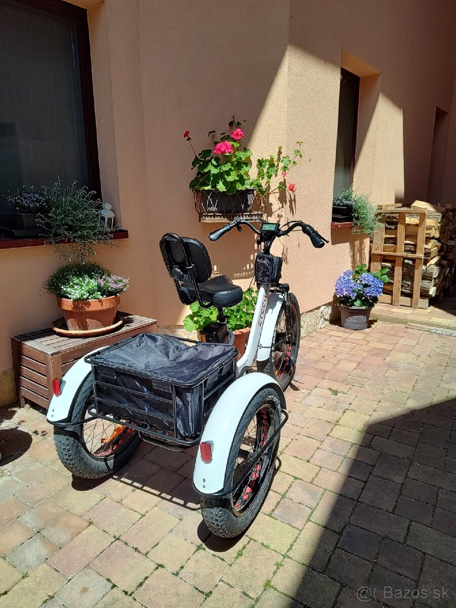 Elektrická trojkolka ECO-80 Ztech 250W 48V 13Ah Mini Trailer - 2