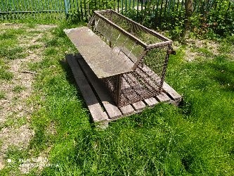 Výlet na poštové holuby - 2