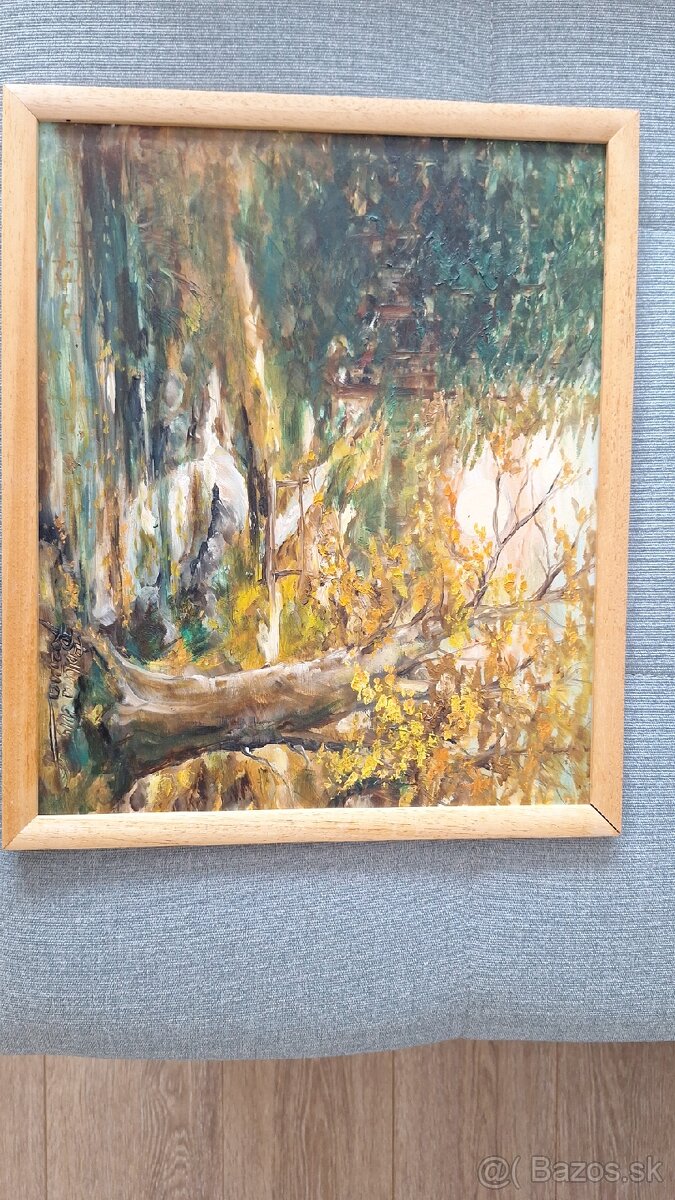 Predám obrazy - 2