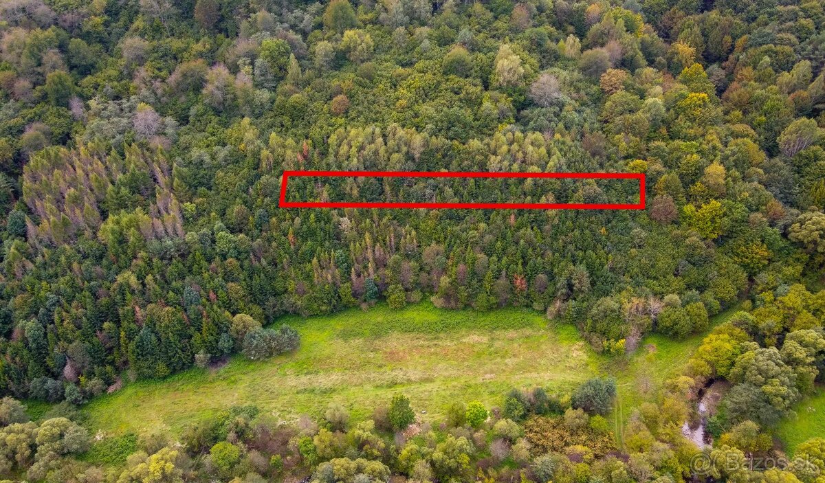 Dúbrava - 1600 m2 LES v podiele 1/1 - 2