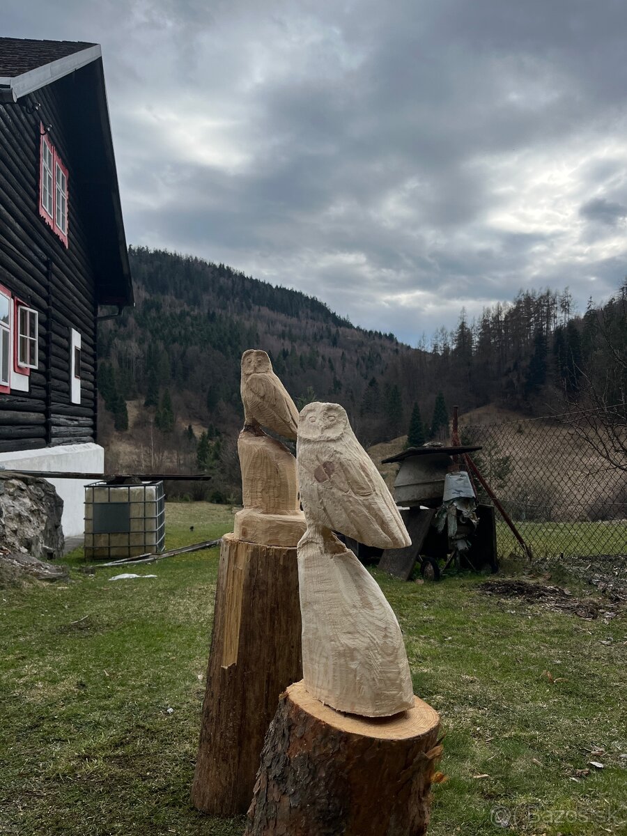 Drevené sochy sovy🦉 - 2