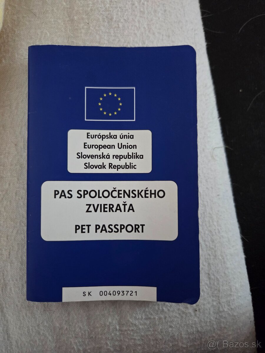 Civava - 2