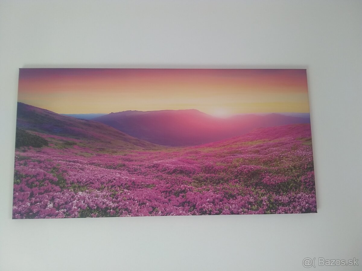 2 obrazy za 10 eur - 2