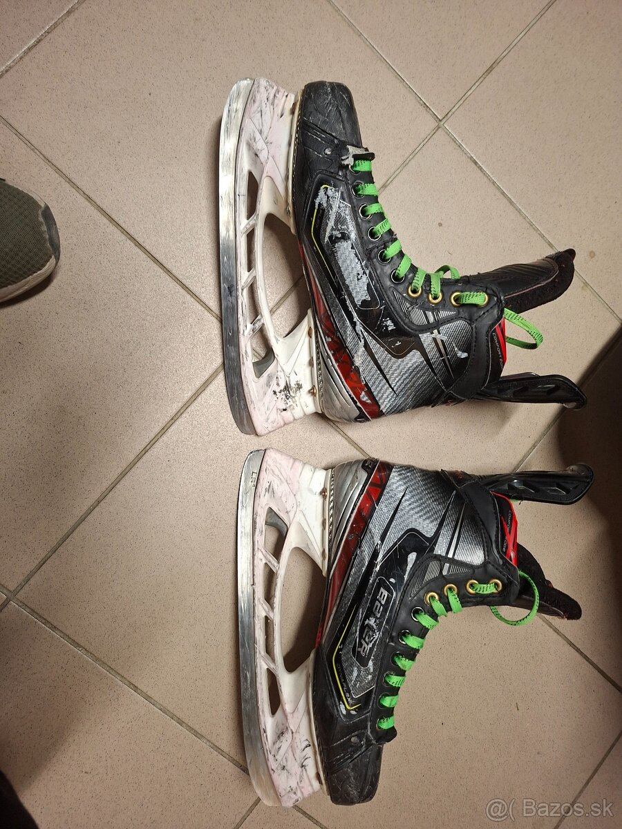 Korcule bauer - 2