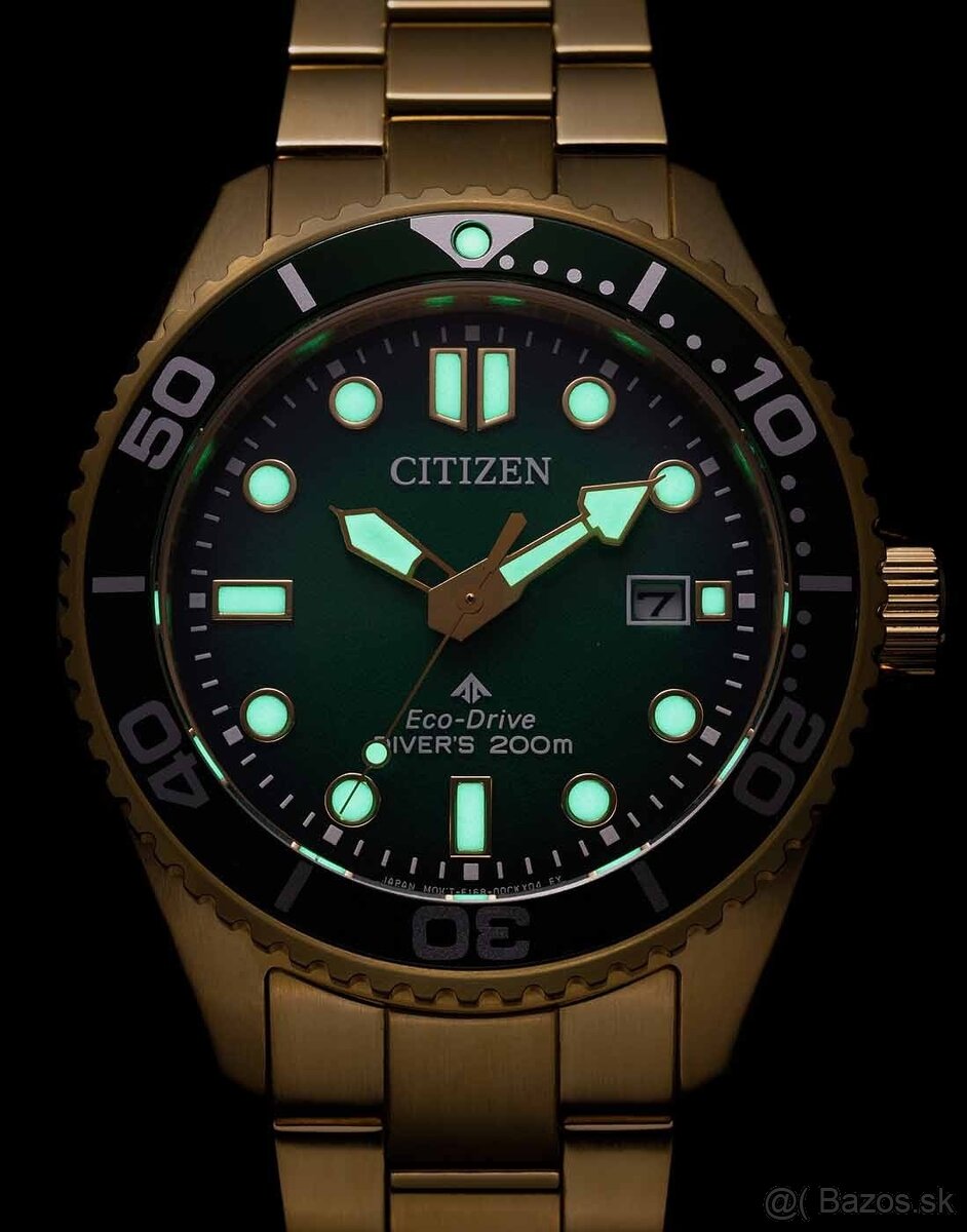 Citizen Promaster - 2