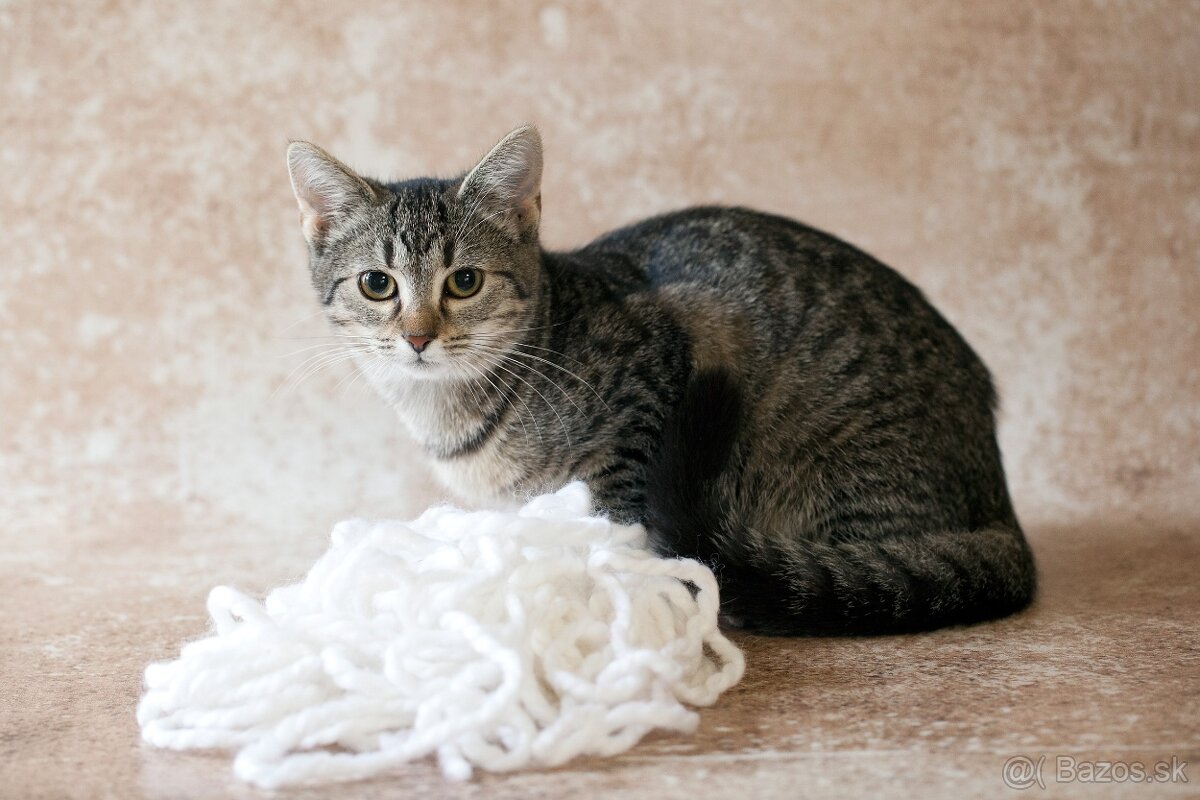 ❤ Dorka - jemná a zlatá dáma - 2