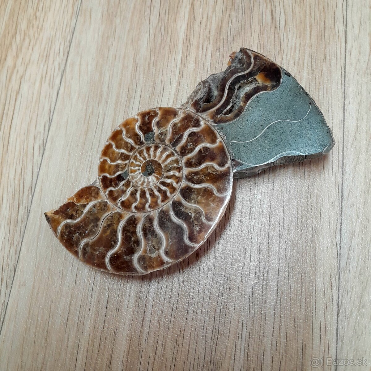 Predám Amonit - skamenelina - 2