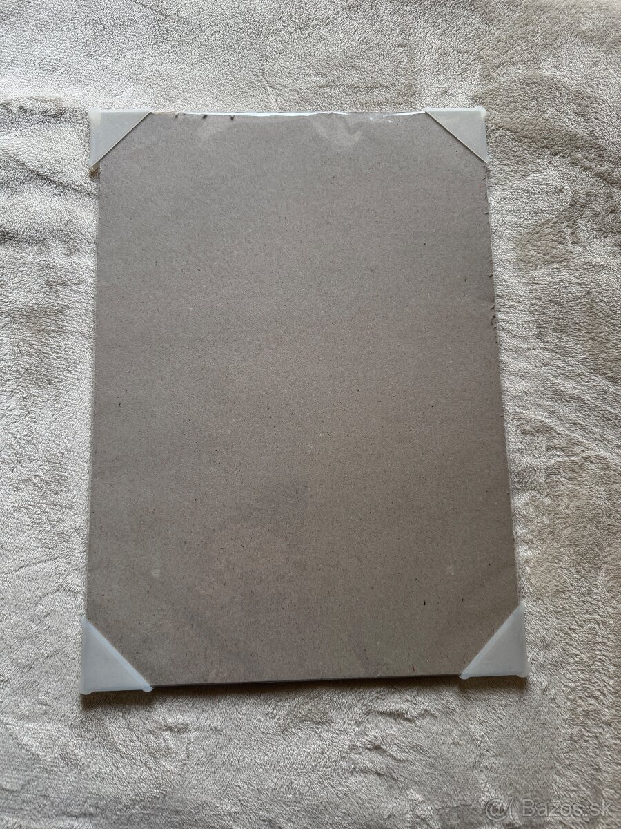 Umelecký anatomický plagát – Codex Anatomicus (A3, Nový) - 2