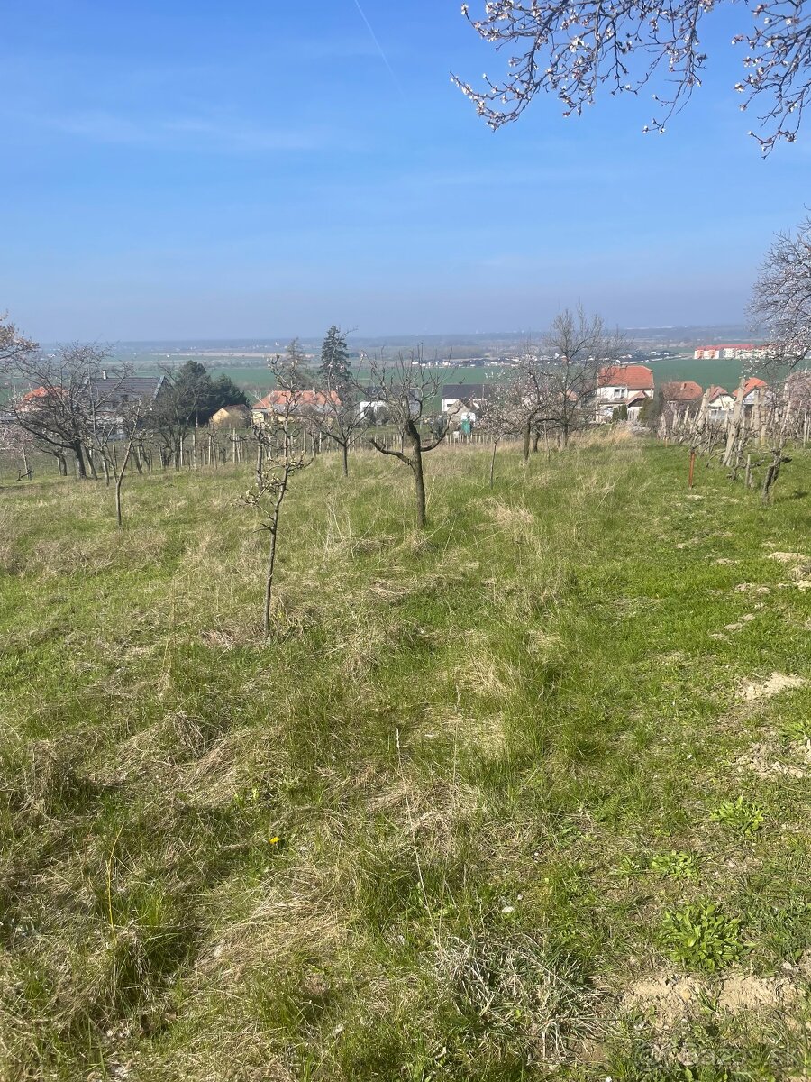 pozemok Skalica - 2