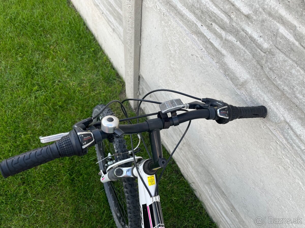 Dámsky bicykel - 2