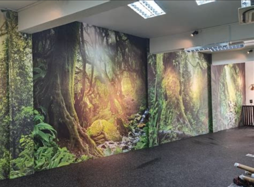 TAPETOVANIE, profesionálne,14 ročná prax - 2