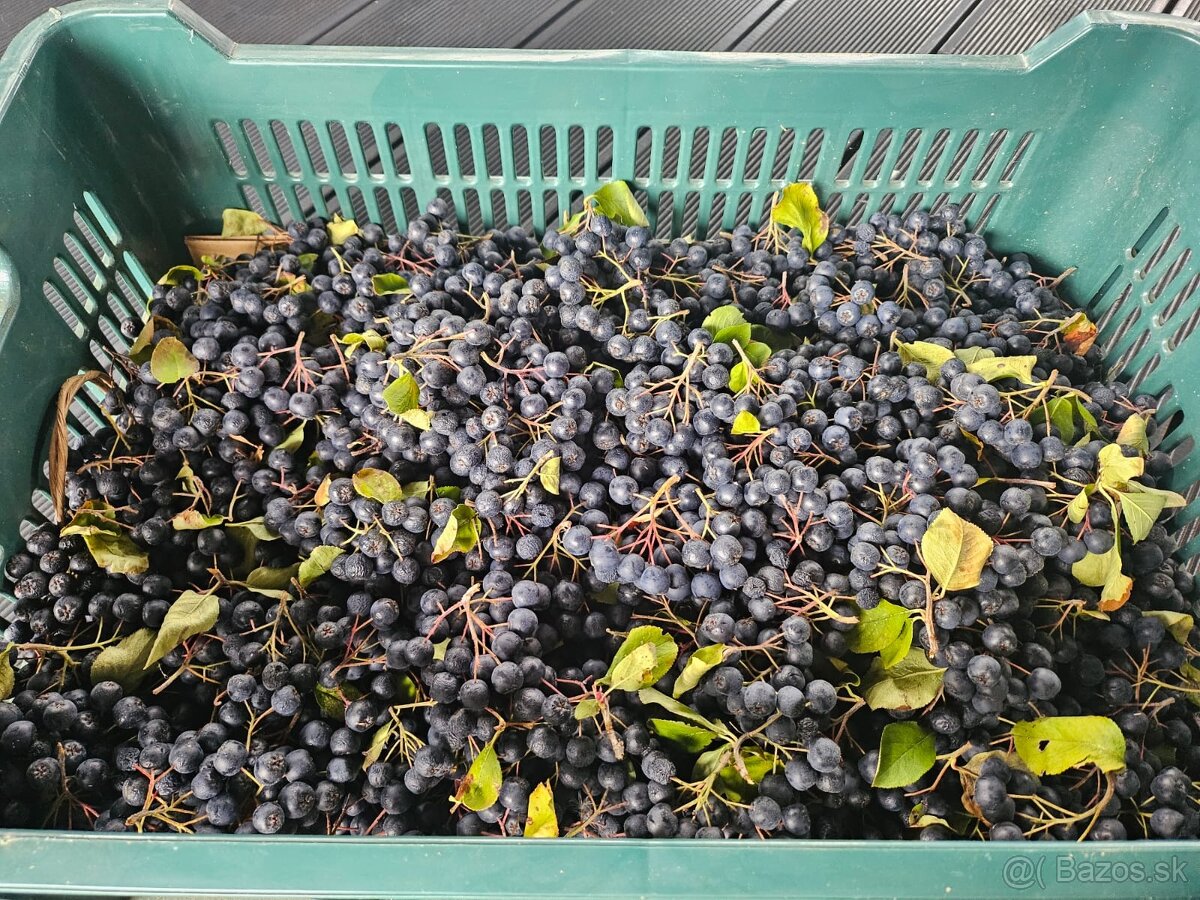 Šťava z aronie - 2