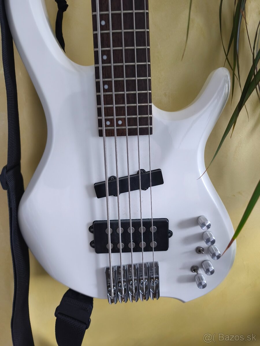 Predám basgitaru - 2