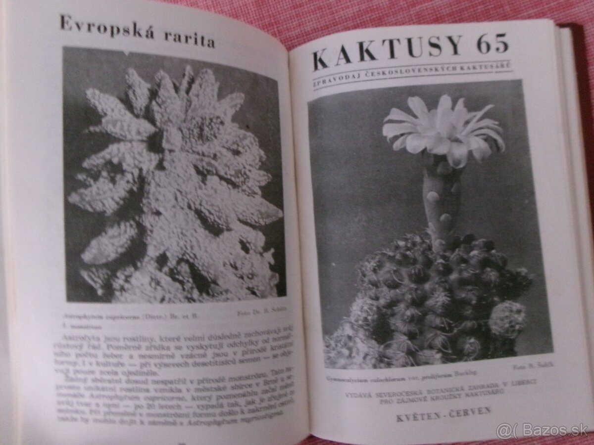 Kaktusy 1965 - 1985 - viazané časopisy. - 2