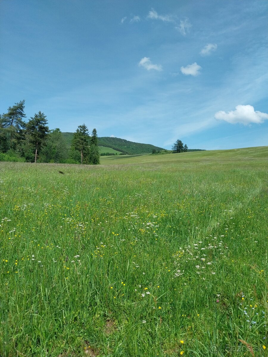 Predám pozemky pod Magurou - 2