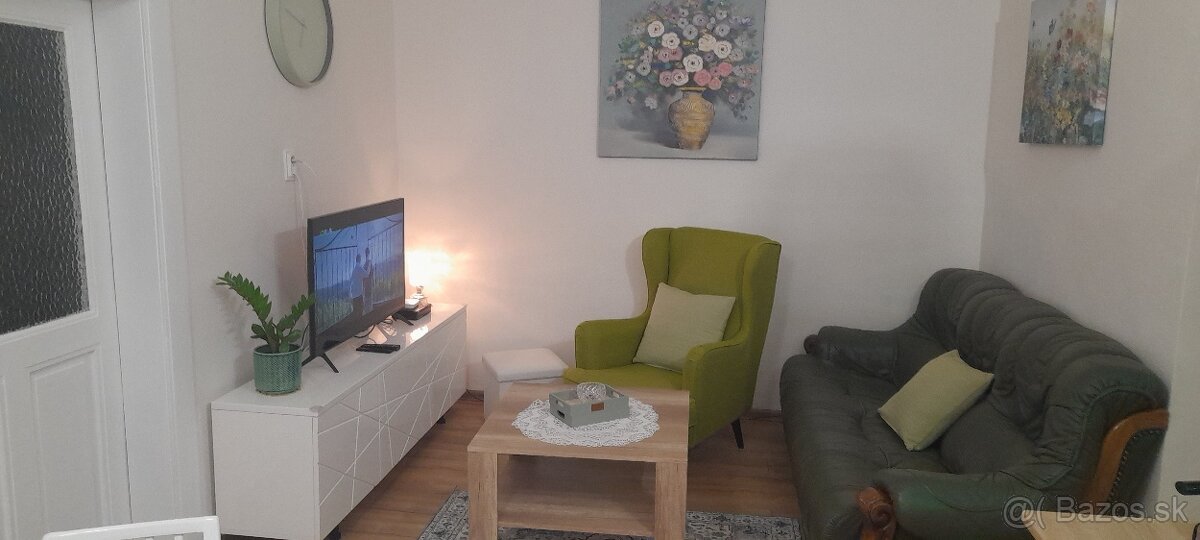 Prenájom 1.5 izbovy byt Malá Praha 2 - 2