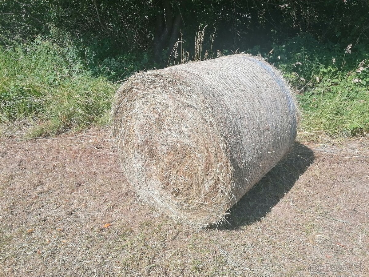 Predám balíkované seno - 2