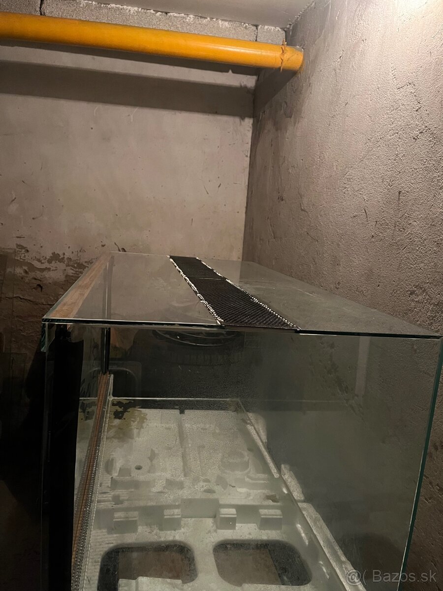 Terarium - 2
