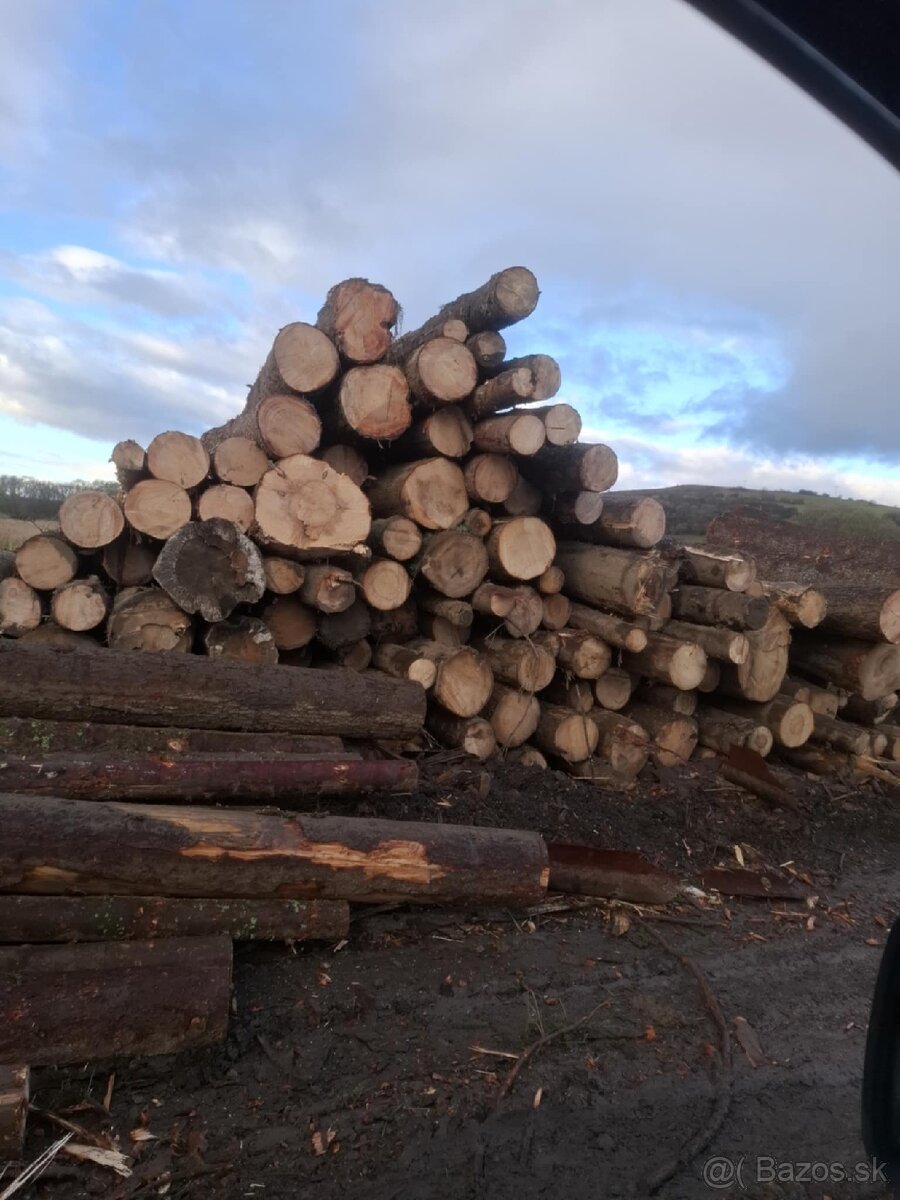 Predám palivové drevo - 2