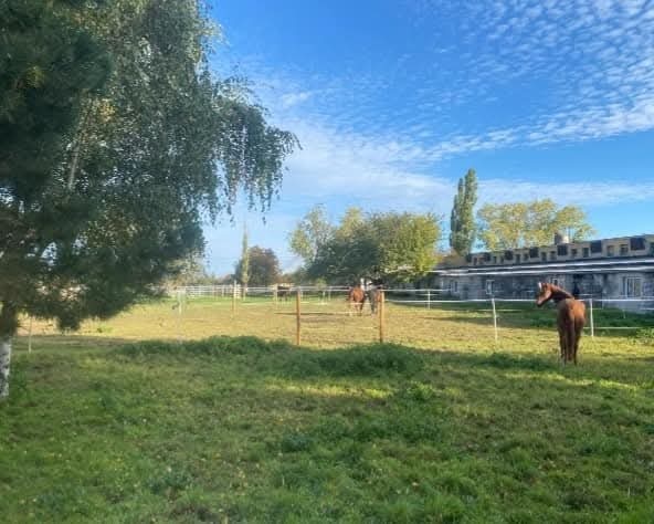 Boxové ustajnenie - 2